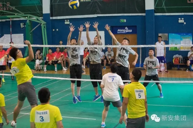 1474182351838914T60B.jpg